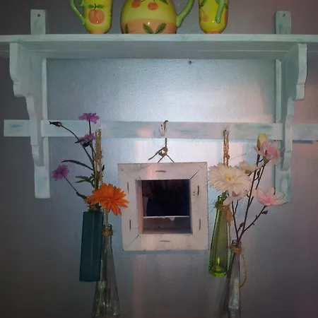 Anna's Houseboat 게스트하우스